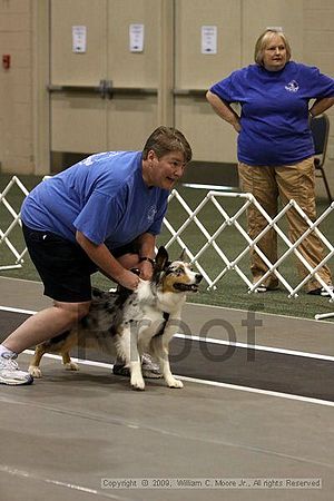 Dawg Derby Flyball Tournement<br />July 11, 2009<br />Classic Center<br />Athens, Ga