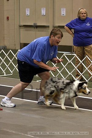 Dawg Derby Flyball Tournement<br />July 11, 2009<br />Classic Center<br />Athens, Ga