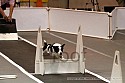 img_9791_thm.jpg