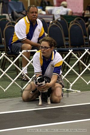 Dawg Derby Flyball Tournement<br />July 11, 2009<br />Classic Center<br />Athens, Ga