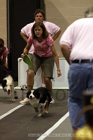 Dawg Derby Flyball Tournement<br />July 11, 2009<br />Classic Center<br />Athens, Ga