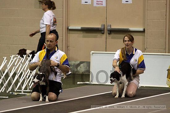 Dawg Derby Flyball Tournement<br />July 11, 2009<br />Classic Center<br />Athens, Ga