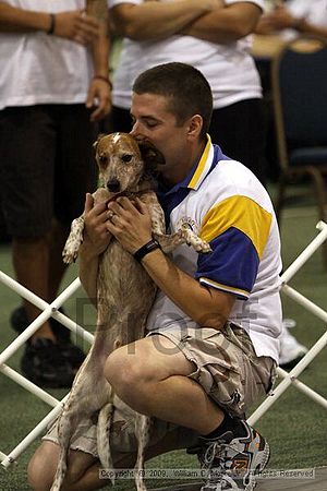 Dawg Derby Flyball Tournement<br />July 11, 2009<br />Classic Center<br />Athens, Ga