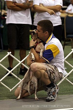 Dawg Derby Flyball Tournement<br />July 11, 2009<br />Classic Center<br />Athens, Ga