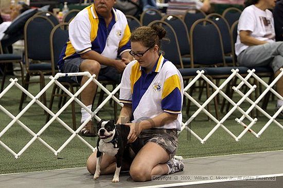 Dawg Derby Flyball Tournement<br />July 11, 2009<br />Classic Center<br />Athens, Ga