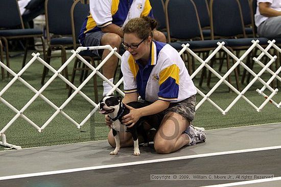 Dawg Derby Flyball Tournement<br />July 11, 2009<br />Classic Center<br />Athens, Ga