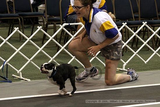 Dawg Derby Flyball Tournement<br />July 11, 2009<br />Classic Center<br />Athens, Ga