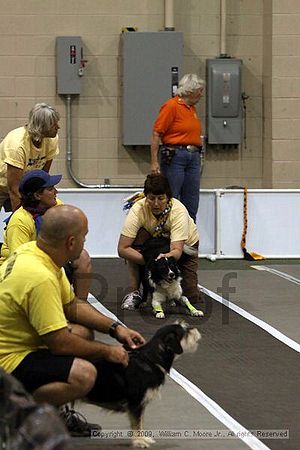 Dawg Derby Flyball Tournement<br />July 11, 2009<br />Classic Center<br />Athens, Ga