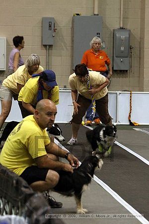 Dawg Derby Flyball Tournement<br />July 11, 2009<br />Classic Center<br />Athens, Ga