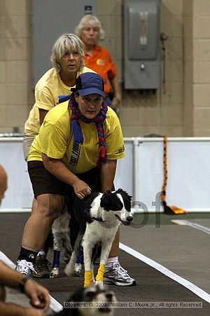 Dawg Derby Flyball Tournement<br />July 11, 2009<br />Classic Center<br />Athens, Ga