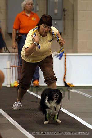 Dawg Derby Flyball Tournement<br />July 11, 2009<br />Classic Center<br />Athens, Ga