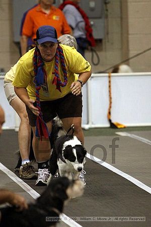 Dawg Derby Flyball Tournement<br />July 11, 2009<br />Classic Center<br />Athens, Ga