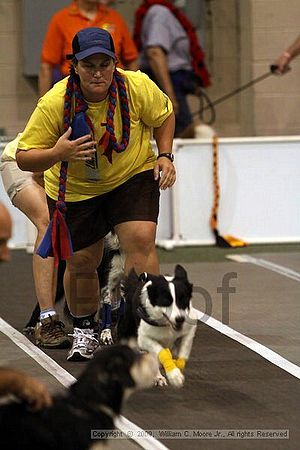 Dawg Derby Flyball Tournement<br />July 11, 2009<br />Classic Center<br />Athens, Ga