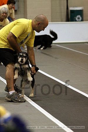 Dawg Derby Flyball Tournement<br />July 11, 2009<br />Classic Center<br />Athens, Ga