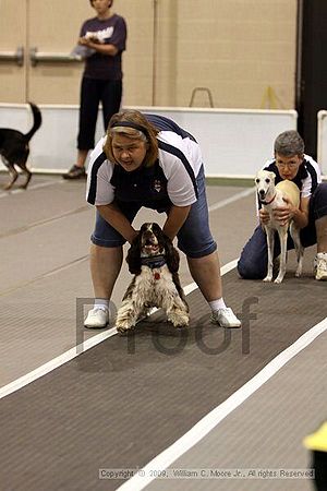 Dawg Derby Flyball Tournement<br />July 11, 2009<br />Classic Center<br />Athens, Ga