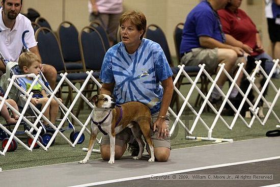 Dawg Derby Flyball Tournement<br />July 11, 2009<br />Classic Center<br />Athens, Ga