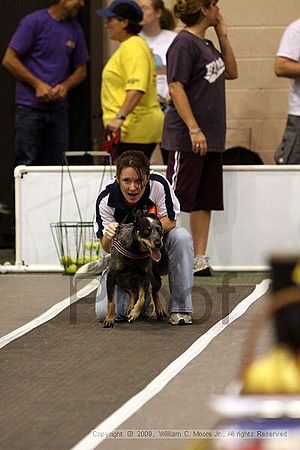 Dawg Derby Flyball Tournement<br />July 11, 2009<br />Classic Center<br />Athens, Ga