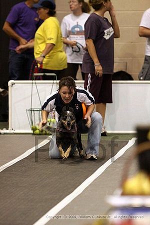 Dawg Derby Flyball Tournement<br />July 11, 2009<br />Classic Center<br />Athens, Ga