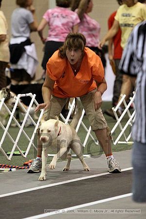 Dawg Derby Flyball Tournement<br />July 11, 2009<br />Classic Center<br />Athens, Ga