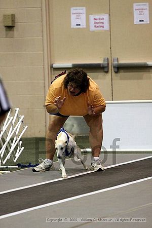 Dawg Derby Flyball Tournement<br />July 11, 2009<br />Classic Center<br />Athens, Ga