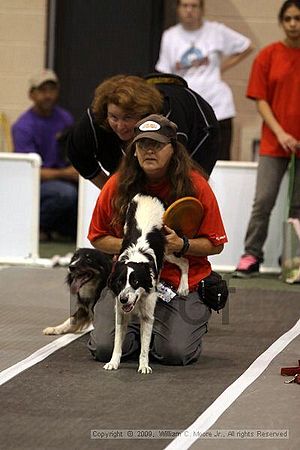 Dawg Derby Flyball Tournement<br />July 11, 2009<br />Classic Center<br />Athens, Ga