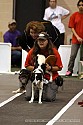 img_9850_thm.jpg