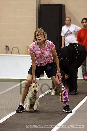 Dawg Derby Flyball Tournement<br />July 11, 2009<br />Classic Center<br />Athens, Ga