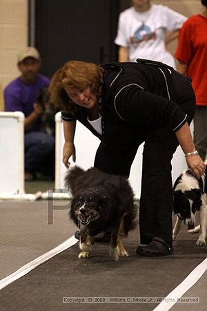 Dawg Derby Flyball Tournement<br />July 11, 2009<br />Classic Center<br />Athens, Ga