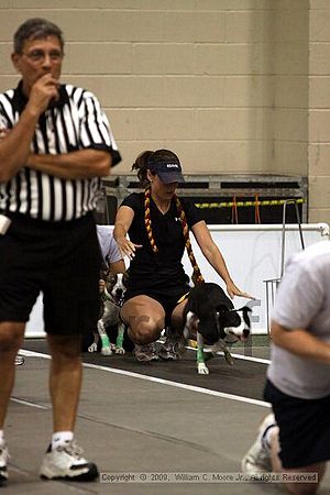 Dawg Derby Flyball Tournement<br />July 11, 2009<br />Classic Center<br />Athens, Ga