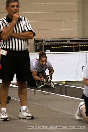 Dawg Derby Flyball Tournement<br />July 11, 2009<br />Classic Center<br />Athens, Ga