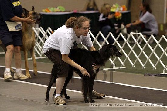 Dawg Derby Flyball Tournement<br />July 11, 2009<br />Classic Center<br />Athens, Ga