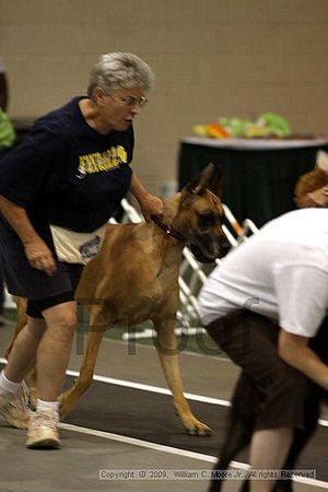 Dawg Derby Flyball Tournement<br />July 11, 2009<br />Classic Center<br />Athens, Ga