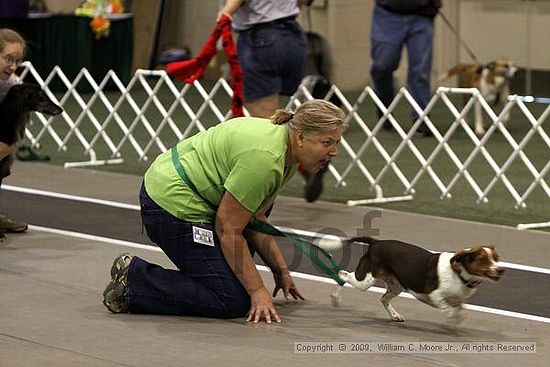 Dawg Derby Flyball Tournement<br />July 11, 2009<br />Classic Center<br />Athens, Ga