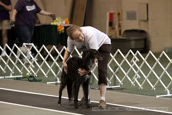 Dawg Derby Flyball Tournement<br />July 11, 2009<br />Classic Center<br />Athens, Ga