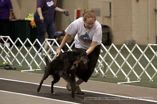 Dawg Derby Flyball Tournement<br />July 11, 2009<br />Classic Center<br />Athens, Ga