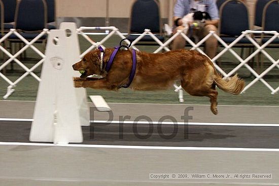 Dawg Derby Flyball Tournement<br />July 11, 2009<br />Classic Center<br />Athens, Ga