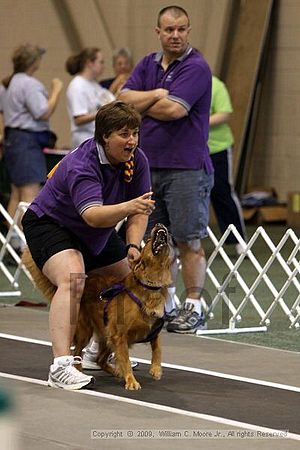 Dawg Derby Flyball Tournement<br />July 11, 2009<br />Classic Center<br />Athens, Ga