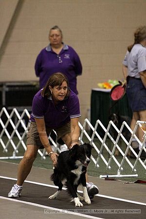 Dawg Derby Flyball Tournement<br />July 11, 2009<br />Classic Center<br />Athens, Ga