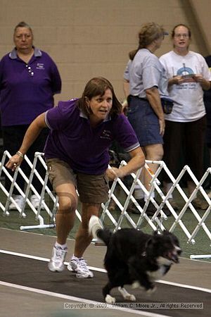 Dawg Derby Flyball Tournement<br />July 11, 2009<br />Classic Center<br />Athens, Ga