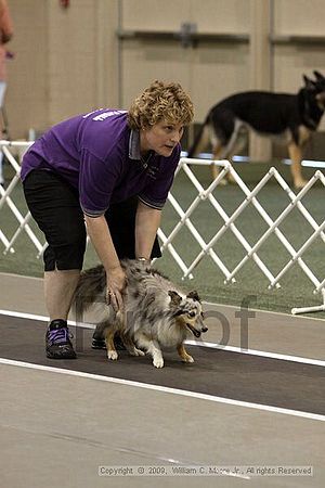 Dawg Derby Flyball Tournement<br />July 11, 2009<br />Classic Center<br />Athens, Ga