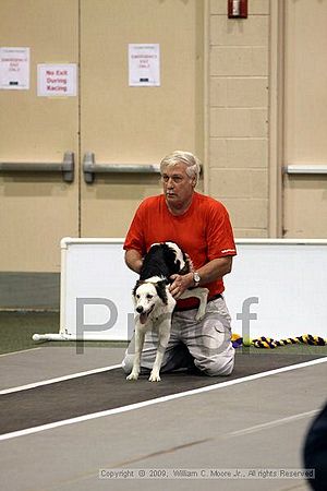 Dawg Derby Flyball Tournement<br />July 11, 2009<br />Classic Center<br />Athens, Ga