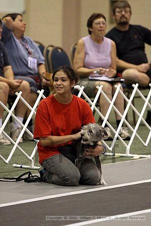 Dawg Derby Flyball Tournement<br />July 11, 2009<br />Classic Center<br />Athens, Ga