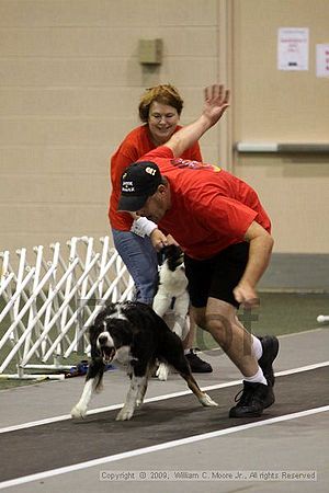 Dawg Derby Flyball Tournement<br />July 11, 2009<br />Classic Center<br />Athens, Ga