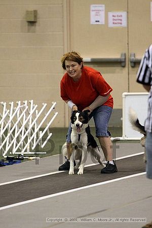 Dawg Derby Flyball Tournement<br />July 11, 2009<br />Classic Center<br />Athens, Ga