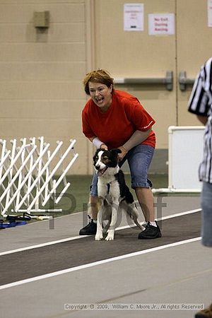 Dawg Derby Flyball Tournement<br />July 11, 2009<br />Classic Center<br />Athens, Ga