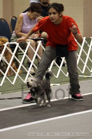 Dawg Derby Flyball Tournement<br />July 11, 2009<br />Classic Center<br />Athens, Ga