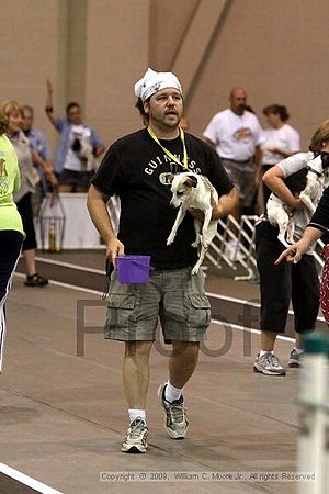 Dawg Derby Flyball Tournement<br />July 11, 2009<br />Classic Center<br />Athens, Ga