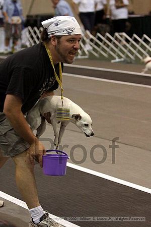 Dawg Derby Flyball Tournement<br />July 11, 2009<br />Classic Center<br />Athens, Ga