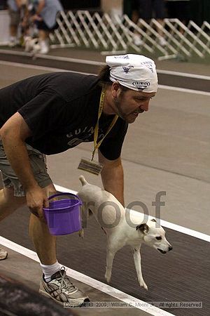 Dawg Derby Flyball Tournement<br />July 11, 2009<br />Classic Center<br />Athens, Ga