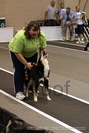 Dawg Derby Flyball Tournement<br />July 11, 2009<br />Classic Center<br />Athens, Ga